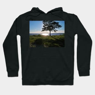 Pretty landscape with water, sun and tree Hoodie